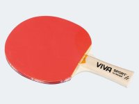 VIVA Tischtennis-Schläger ArGento für Einsteiger